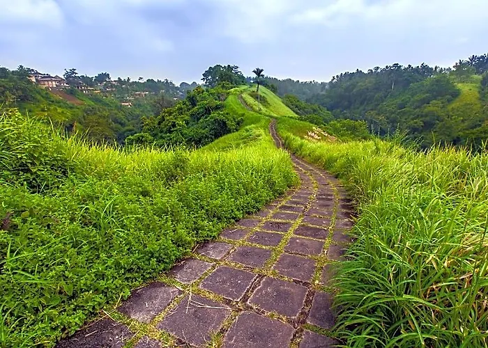 Residence Beautiful Deluxe Near Palace Ubud (Bali)